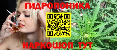 ALPHA PVP Комсомольск-на-Амуре