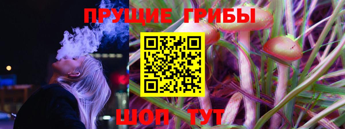 Галлюциногенные грибы Psilocybine cubensis Осинники